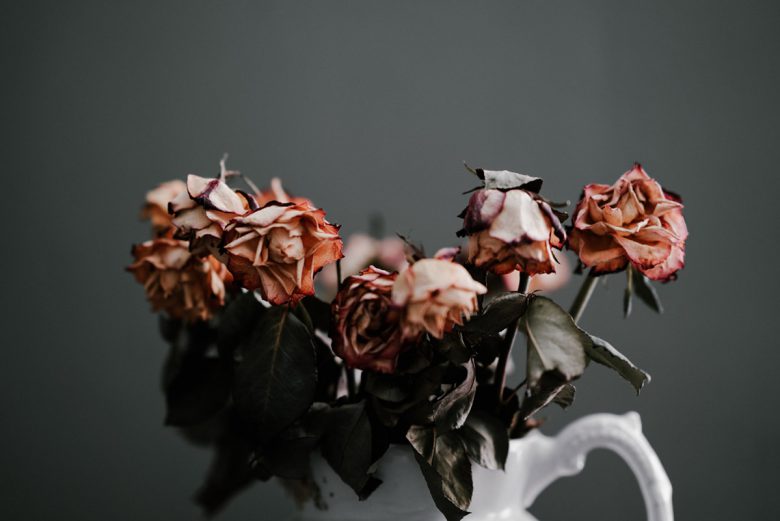 A vase of wilted roses