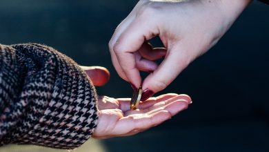Two hands exchanging money