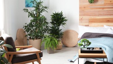 How to do an energy cleanse of your home