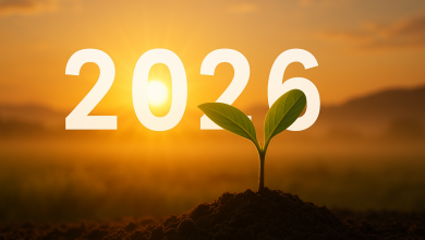 2026 Energetic Meaning