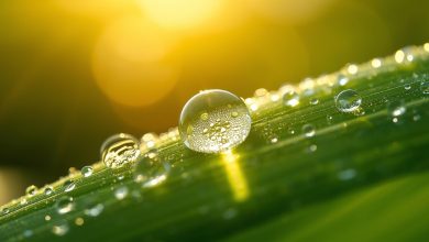 When Life Gets Good… Why Do You Shut It Down?